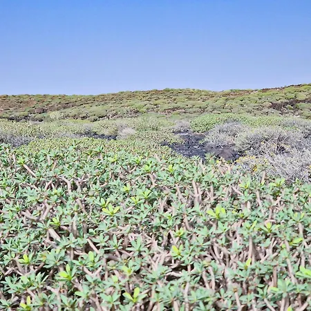 Lägenhet Refurbished Magic Loft Free Surf Beachfront