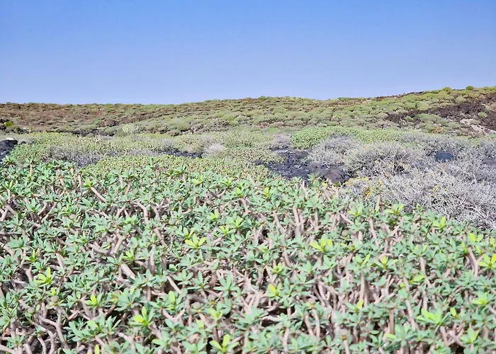 Apartment Refurbished Magic Loft Free Surf Beachfront